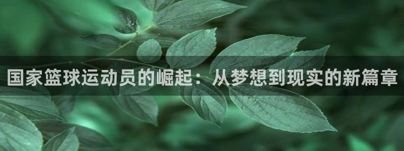 沐鸣3平台登录
