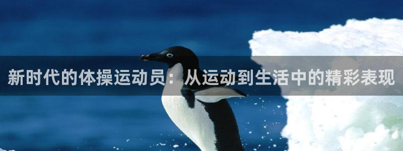 沐鸣登录网址
