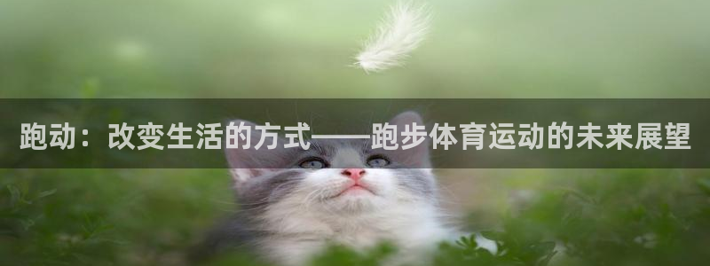 沐鸣3官网