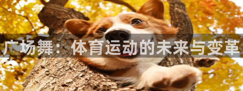沐鸣包怎么样