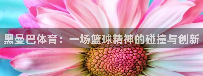 沐鸣凯捷注册