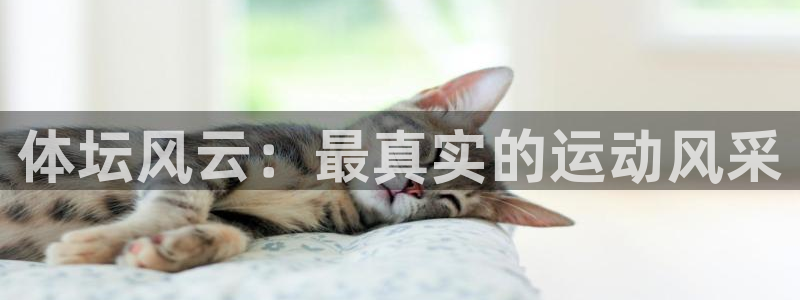 沐鸣娱乐