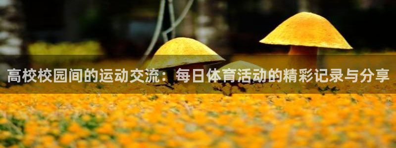 沐鸣体育2官网入口