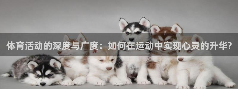 沐鸣3平台登录
