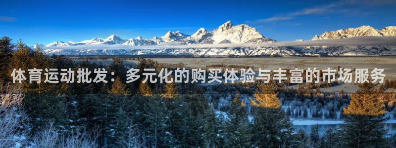 沐鸣网页版地址