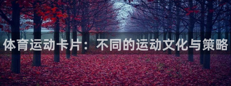 沐鸣科技