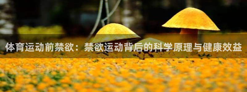 沐鸣2平台官网登录