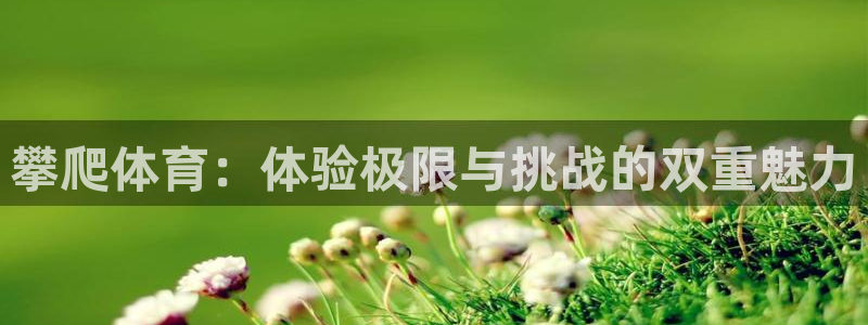 沐鸣2登陆