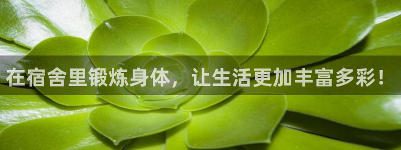 沐鸣3登陆