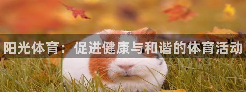 沐鸣网页版地址