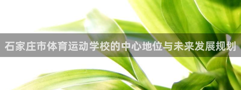 沐鸣平台开户链接