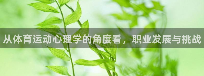 沐鸣2平台官网登录