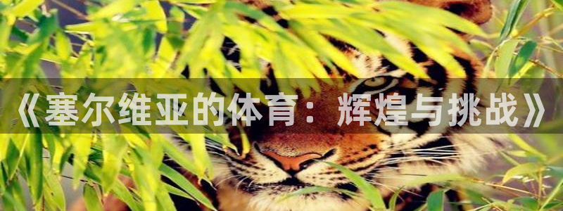 沐鸣2客户端 登录